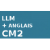 LLM CM2 ANGLAIS